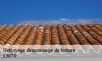 Nettoyage demoussage de toiture  13670