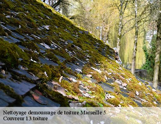 Nettoyage demoussage de toiture