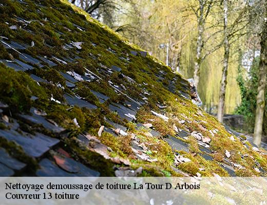 Nettoyage demoussage de toiture