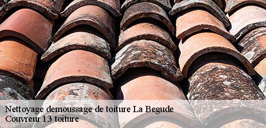 nettoyage-demoussage-de-toiture-4