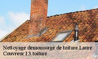 Nettoyage demoussage de toiture  laure-13180 Couvreur 13 toiture