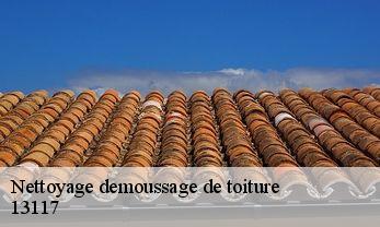 Nettoyage demoussage de toiture  13117