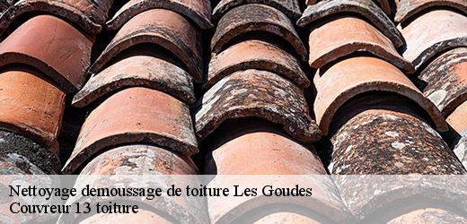 nettoyage-demoussage-de-toiture-4