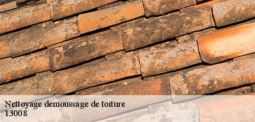 nettoyage-demoussage-de-toiture-5