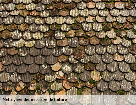 nettoyage-demoussage-de-toiture-6