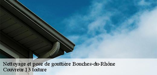 nettoyage-et-pose-de-gouttiere-4