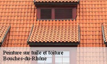 Peinture sur tuile et toiture Bouches-du-Rhône 