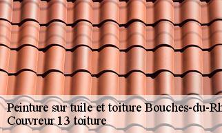 Peinture sur tuile et toiture 13 Bouches-du-Rhône  Couvreur 13 toiture