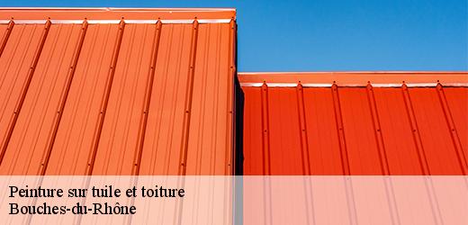 peinture-sur-tuile-et-toiture-5