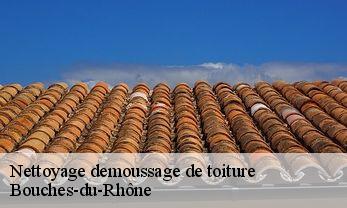 Nettoyage demoussage de toiture Bouches-du-Rhône 