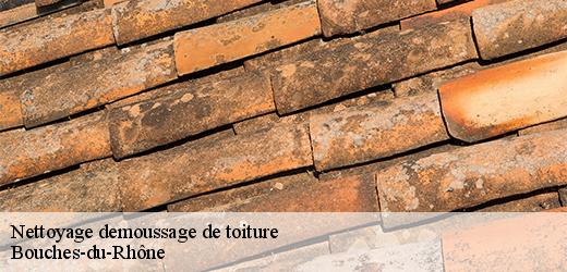 nettoyage-demoussage-de-toiture-5