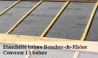 Etanchéité toiture 13 Bouches-du-Rhône  Couvreur 13 toiture