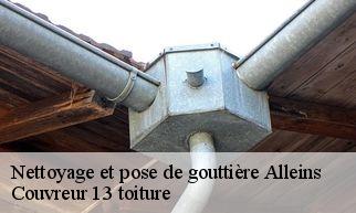 Nettoyage et pose de gouttière  alleins-13980 Couvreur 13 toiture