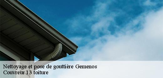 nettoyage-et-pose-de-gouttiere-4