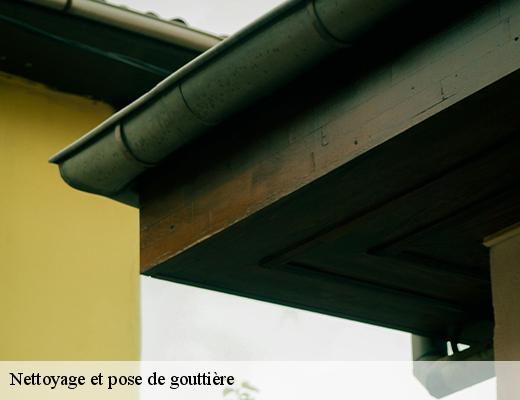 nettoyage-et-pose-de-gouttiere-6