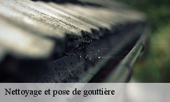 Nettoyage et pose de gouttière