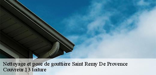 nettoyage-et-pose-de-gouttiere-4