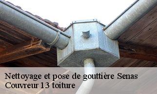 Nettoyage et pose de gouttière senas-13560 Couvreur 13 toiture