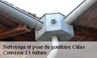 Nettoyage et pose de gouttière calas-13480 Couvreur 13 toiture