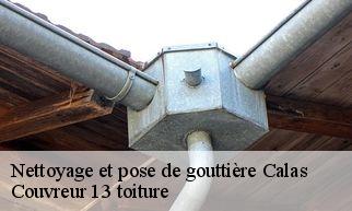 Nettoyage et pose de gouttière  calas-13480 Couvreur 13 toiture