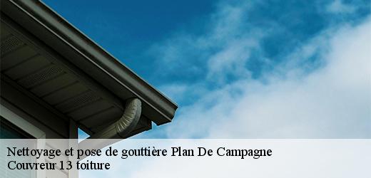 nettoyage-et-pose-de-gouttiere-4