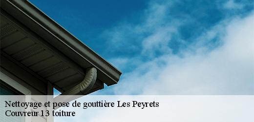nettoyage-et-pose-de-gouttiere-4