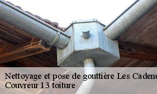 Nettoyage et pose de gouttière  les-cadeneaux-13170 Couvreur 13 toiture