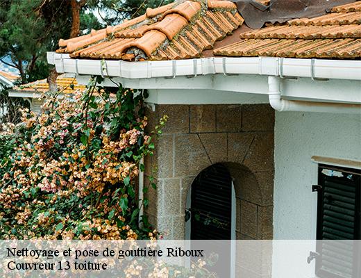Nettoyage et pose de gouttière