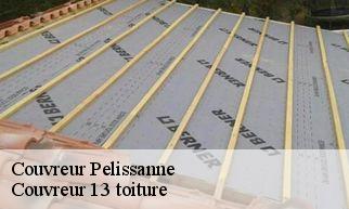 Couvreur  pelissanne-13330 Couvreur 13 toiture