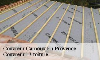Couvreur  carnoux-en-provence-13470 Couvreur 13 toiture