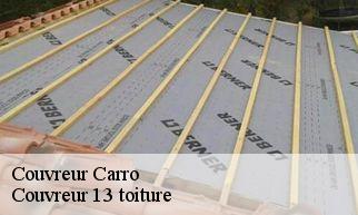Couvreur carro-13500