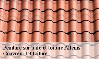 Peinture sur tuile et toiture  alleins-13980 Couvreur 13 toiture