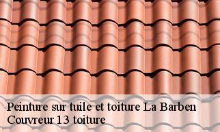 Peinture sur tuile et toiture  la-barben-13330 Couvreur 13 toiture