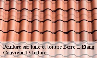 Peinture sur tuile et toiture  berre-l-etang-13130 Couvreur 13 toiture