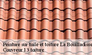 Peinture sur tuile et toiture  la-bouilladisse-13720 Couvreur 13 toiture