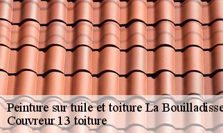 Peinture sur tuile et toiture la-bouilladisse-13720 Couvreur 13 toiture