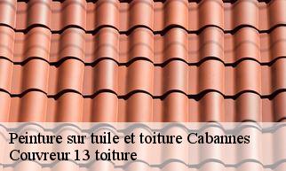 Peinture sur tuile et toiture  cabannes-13440 Couvreur 13 toiture