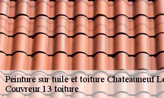 Peinture sur tuile et toiture chateauneuf-le-rouge-13790 Couvreur 13 toiture
