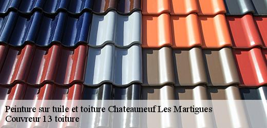 peinture-sur-tuile-et-toiture-4