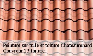 Peinture sur tuile et toiture  chateaurenard-13160 Couvreur 13 toiture