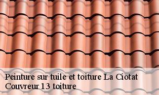 Peinture sur tuile et toiture  la-ciotat-13600 Couvreur 13 toiture