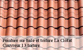 Peinture sur tuile et toiture la-ciotat-13600 Couvreur 13 toiture