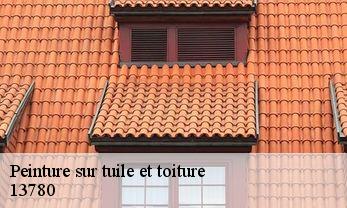 Peinture sur tuile et toiture 13780