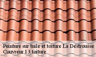 Peinture sur tuile et toiture  la-destrousse-13112 Couvreur 13 toiture