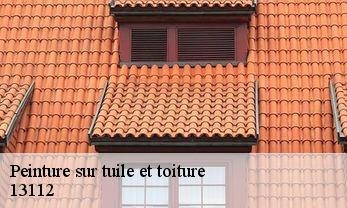 Peinture sur tuile et toiture  13112