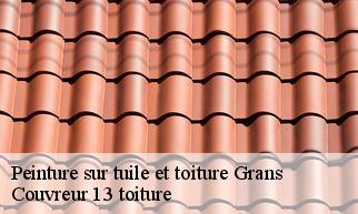 Peinture sur tuile et toiture  grans-13450 Couvreur 13 toiture