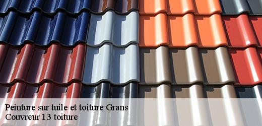 peinture-sur-tuile-et-toiture-4