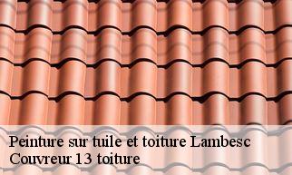 Peinture sur tuile et toiture  lambesc-13410 Couvreur 13 toiture