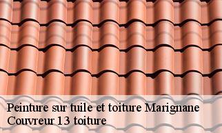 Peinture sur tuile et toiture marignane-13700 Couvreur 13 toiture
