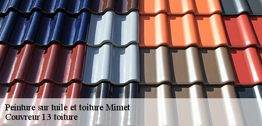peinture-sur-tuile-et-toiture-4